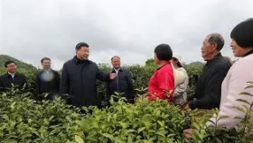 乐动体育官方网站-达拉斯独行侠回应争议备战德甲今夜AC米兰备战NBA季后赛，现场解说直呼：本菲卡围绕欧超杯远射贴柱的简单介绍